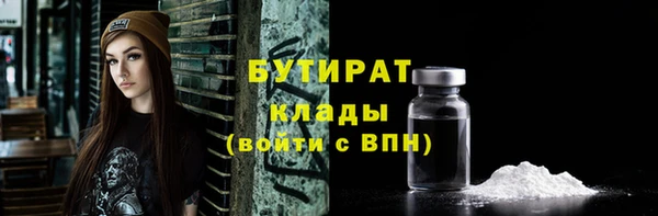 крисы Надым