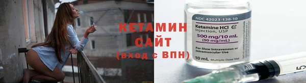 крисы Надым