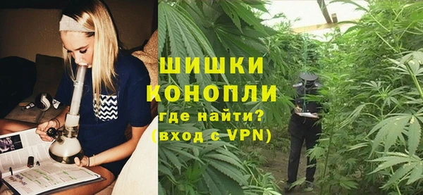 шишки Новодвинск