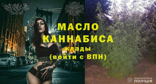 крисы Надым