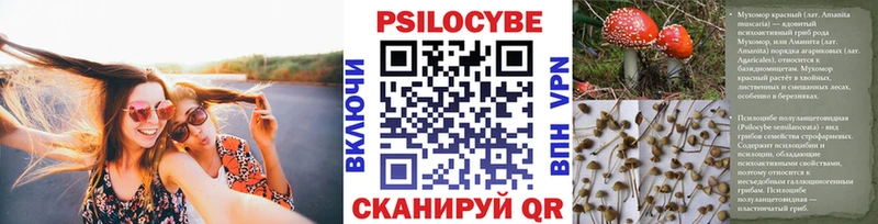 Галлюциногенные грибы Psilocybine cubensis  магазин продажи   Мосальск 